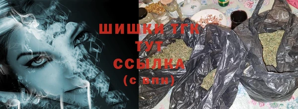 дмт Абаза