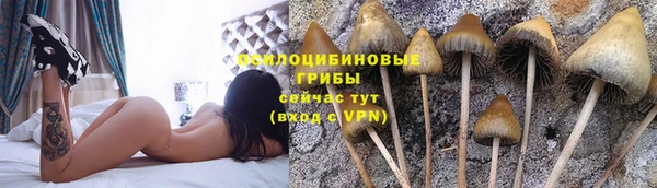 первитин Мегион