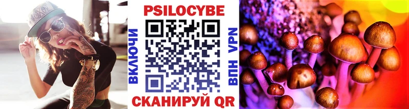 Псилоцибиновые грибы мицелий Электрогорск